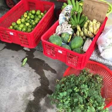 Tổng hợp- Quán Ăn Quán Chay Hoa Lâm