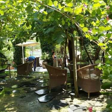 Tổng hợp- Ciao Cafe - Nguyễn Văn Hưởng