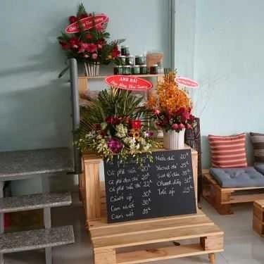 Tổng hợp- Coffish - Cà Phê Cá Cảnh