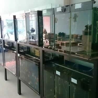 Tổng hợp- Coffish - Cà Phê Cá Cảnh