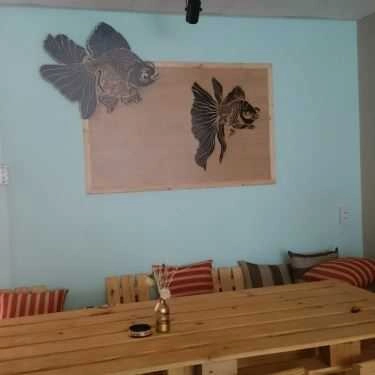 Tổng hợp- Coffish - Cà Phê Cá Cảnh