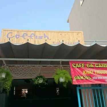 Tổng hợp- Coffish - Cà Phê Cá Cảnh