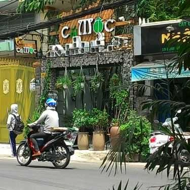 Tổng hợp- Cõi Mộc Cafe - Đặng Văn Ngữ