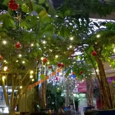 Tổng hợp- Cafe Container Kafe - Hoa Lan
