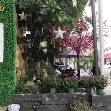 Tổng hợp- Đà Lạt Phố Cafe - Nguyễn Trãi