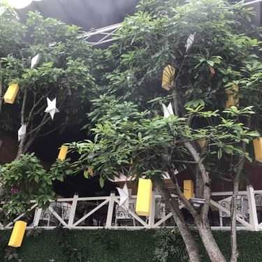 Tổng hợp- Đà Lạt Phố Cafe - Nguyễn Trãi