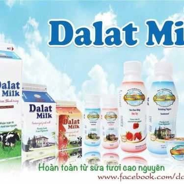 Tổng hợp- Dalatmilk - Home Delivery CN1 - Shop Online
