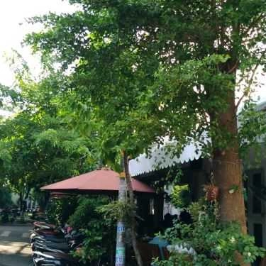 Tổng hợp- Day Light Coffee