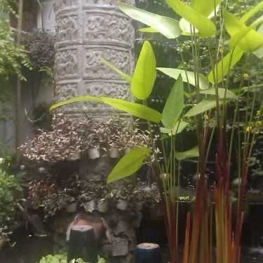 Tổng hợp- Địa Đàng Cafe