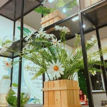 Tổng hợp- Cafe Ding Tea - Lê Văn Sỹ