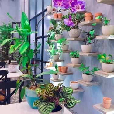 Tổng hợp- Đỉnh Tea & Coffee Saigon