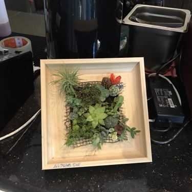 Tổng hợp- Fairy Coffee - Gingseng Coffee, Milkfoam, Milktea, Smoothies