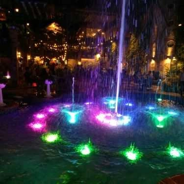 Tổng hợp- Family Garden Cafe