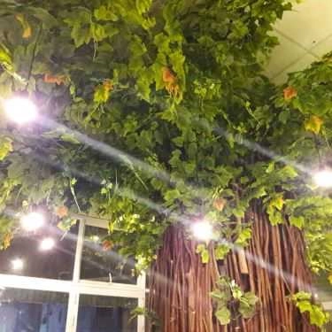 Tổng hợp- Coffee Flower & Tea