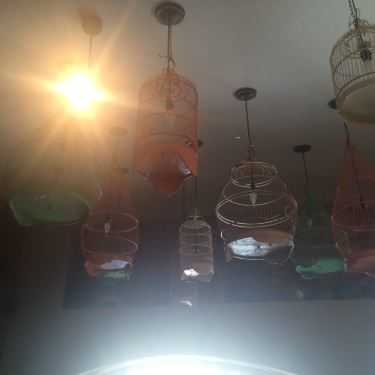Tổng hợp- Kem Goody Fly Garden - Coffee & Cupcake