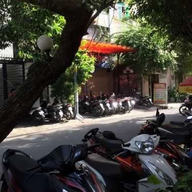 Tổng hợp- Gạch Cafe - Hoa Mai