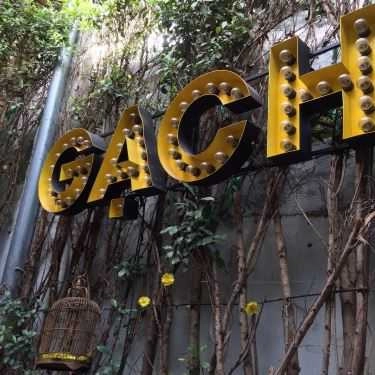 Không gian- Gạch Cafe - Hoa Mai