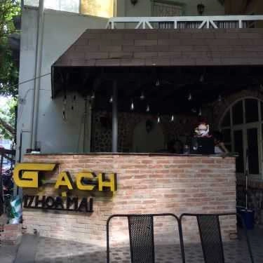 Tổng hợp- Gạch Cafe - Hoa Mai