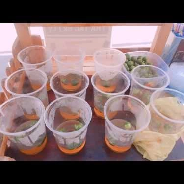 Món ăn- Cafe Gạo's Tea