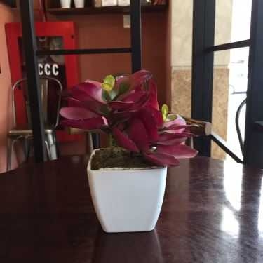 Không gian- Icoffee