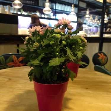 Tổng hợp- Cafe Khanh Casa Tea House - Đồng Khởi