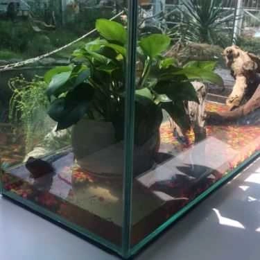 Tổng hợp- Cafe Kim O Long - Tea & Food Express - Hồng Đức