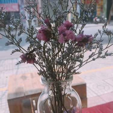 Tổng hợp- Leo Caffe