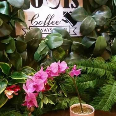 Tổng hợp- Louis's Coffee