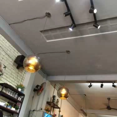 Tổng hợp- Lúa Coffee