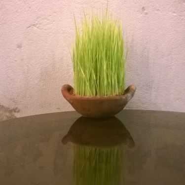Tổng hợp- Mầm Cafe