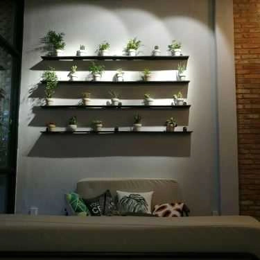 Tổng hợp- Mèo Râu Đen Coffee