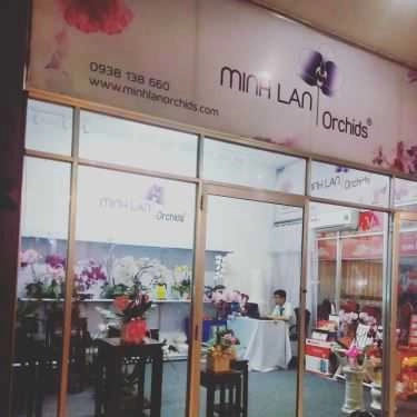 Không gian- Hoa cưới, shop hoa Minh Lan Orchids - Shop Hoa Lan
