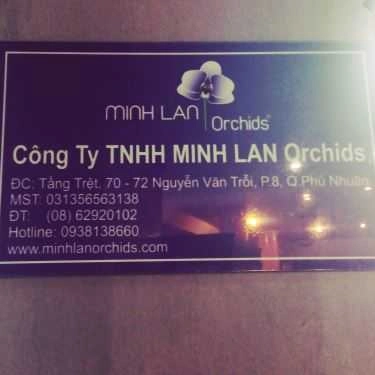 Tổng hợp- Hoa cưới, shop hoa Minh Lan Orchids - Shop Hoa Lan