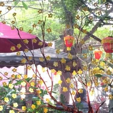 Tổng hợp- Nam Hy Cafe