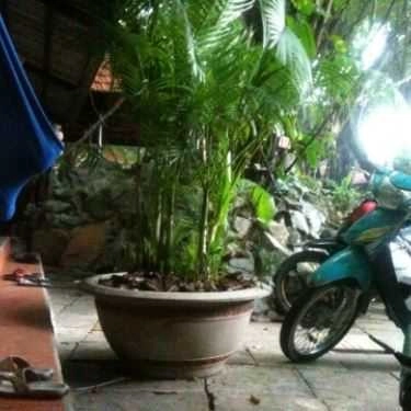Tổng hợp- Ngộ 2 Cafe - Cafe Sân Vườn