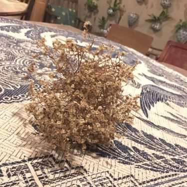 Tổng hợp- Nha Saigon - Coffee Apartment