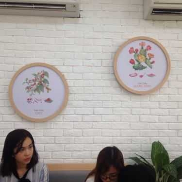 Tổng hợp- Cafe OneZo - Hồ Tùng Mậu