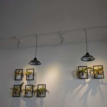 Tổng hợp- Orla's Coffee - Đinh Tiên Hoàng