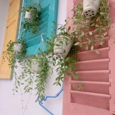 Tổng hợp- OY Cafe