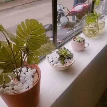 Tổng hợp- OY Cafe