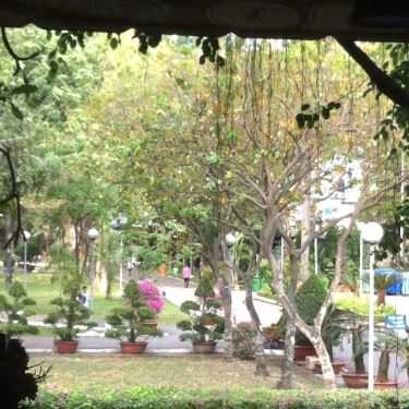 Tổng hợp- Phố Cafe - Hoàng Minh Giám