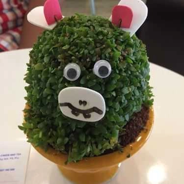 Tổng hợp- Tiệm Bánh Sakura Cake & Tea