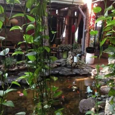 Tổng hợp- Sen Cafe - Nguyễn Huy Tưởng