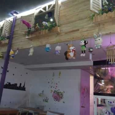 Không gian- Cafe Small Bear - Làng Đại Học