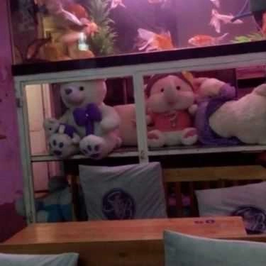 Tổng hợp- Cafe Small Bear - Làng Đại Học