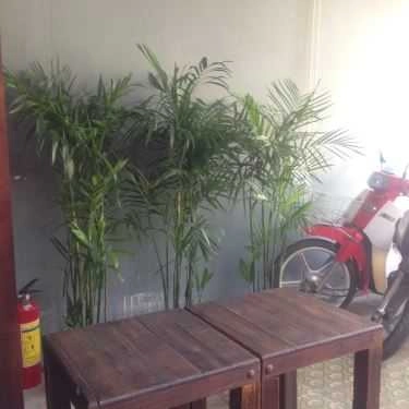 Không gian- Thảo Mộc Coffee - Đường Số 12