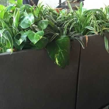 Tổng hợp- The Coffee House - Quang Trung