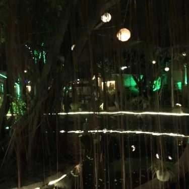Tổng hợp- The Gardens Coffee
