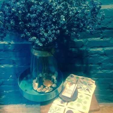 Tổng hợp- The Hidden ElePhant - Books & Coffee