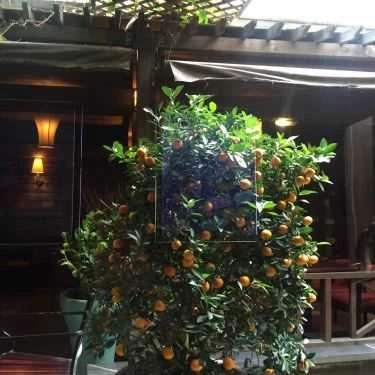 Tổng hợp- Thủy Nguyên Cafe